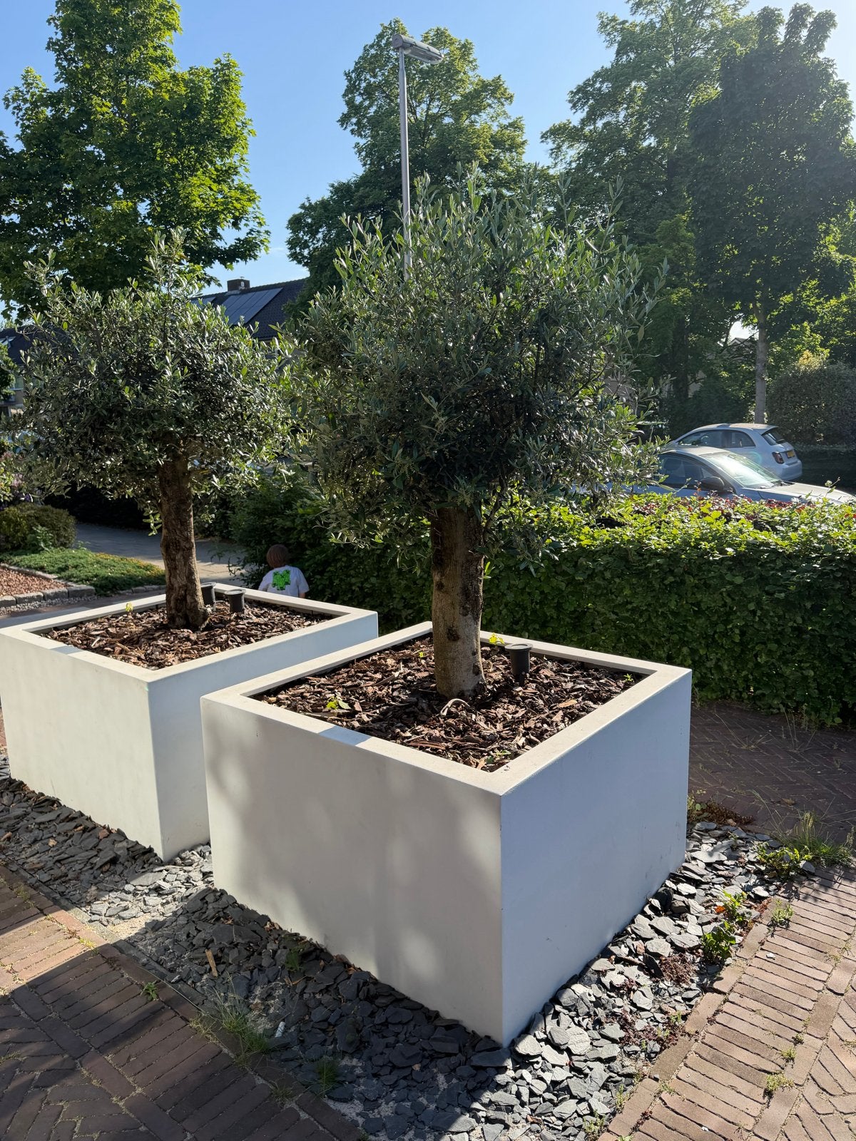 2 x plantenbak 120 x 120 cm, Overige soorten, Volle zon, Vaste plant, Ophalen of Verzenden