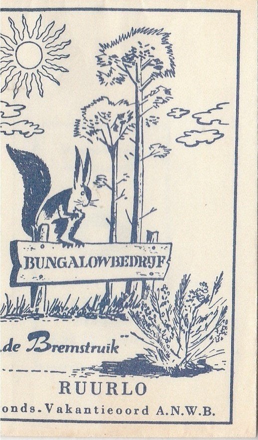 Bonds vakantieoord ANWB De Bremstruik Ruurlo - eekhoorn, Ophalen of Verzenden