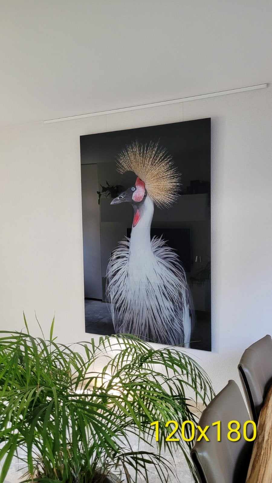 Plexiglas schilderij kraanvogel 120x180, Ophalen, Zo goed als nieuw, Overige typen