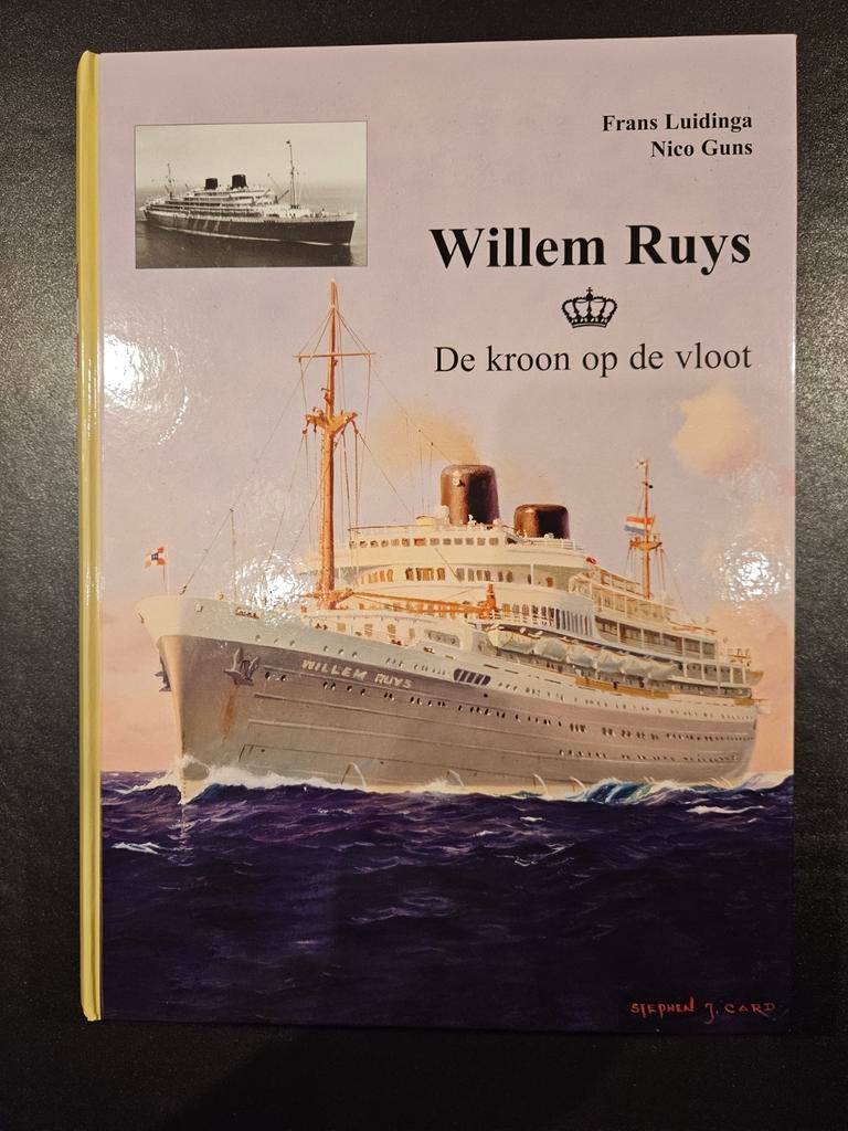 Nico Guns - Willem Ruys, Ophalen of Verzenden, Zo goed als nieuw, Nico Guns; Fr. Luidinga