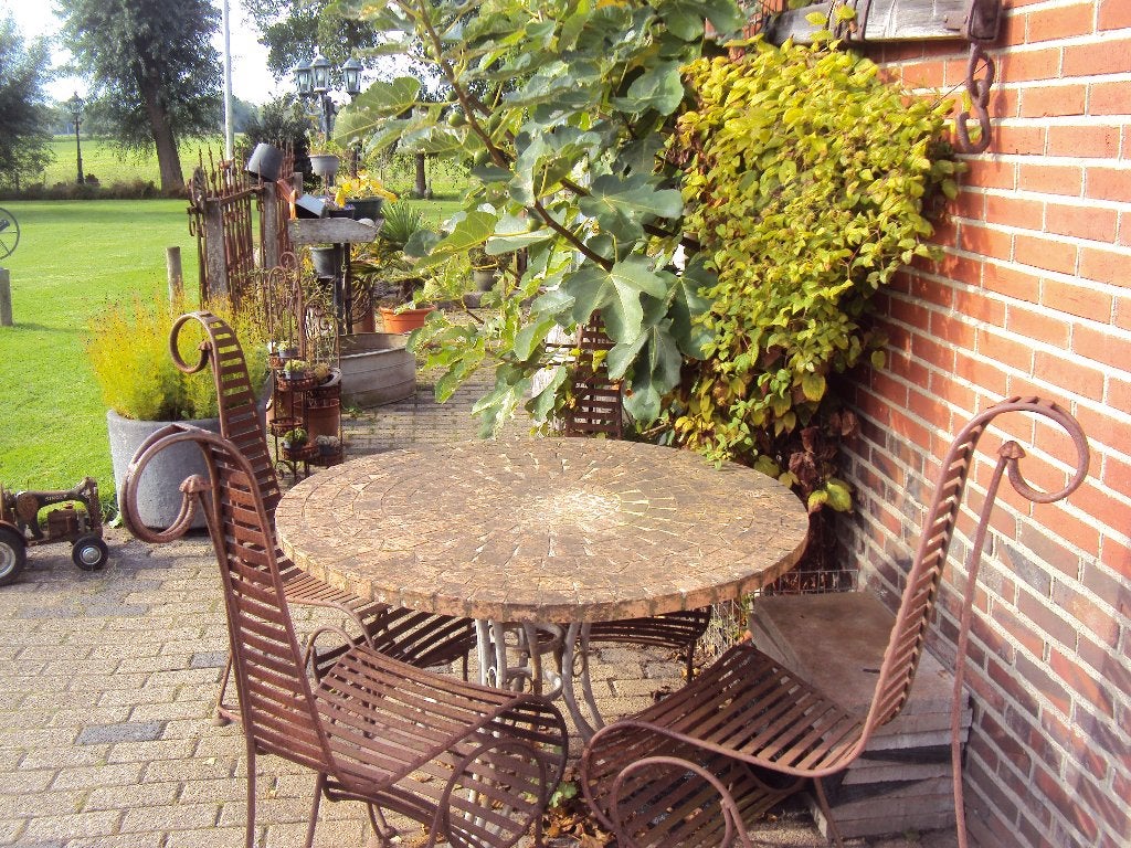 tuinzet compleet, Tuin en Terras, Ophalen, Gebruikt, Tuinset, Eettafel