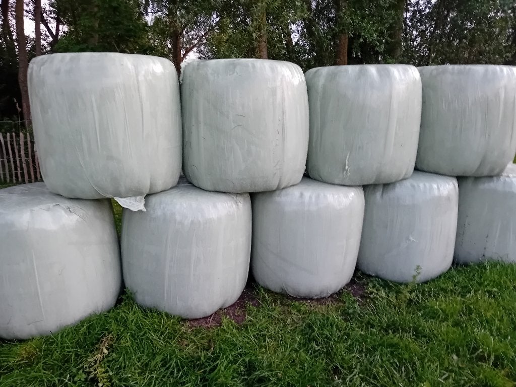 Midi balen, Dieren en Toebehoren, Dierenvoeding, Ophalen, Vee