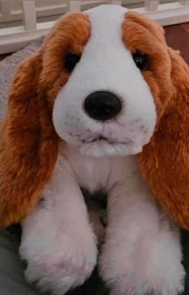 Beagle hondje- grote oren- Anna Club plush- verzend ook, Overige karakters, Ophalen, Zo goed als nieuw, Hond