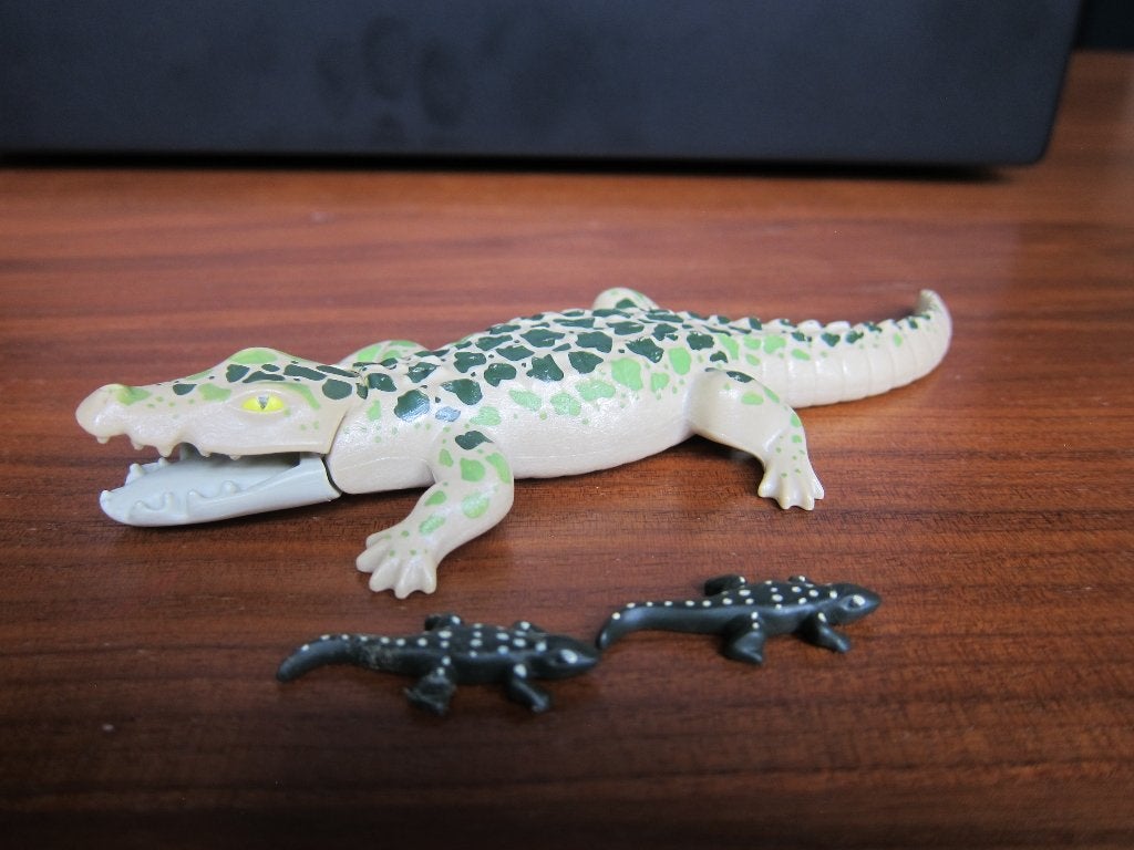 Playmobil Alligator met baby's 6644, Ophalen, Gebruikt, Complete set, Figuren