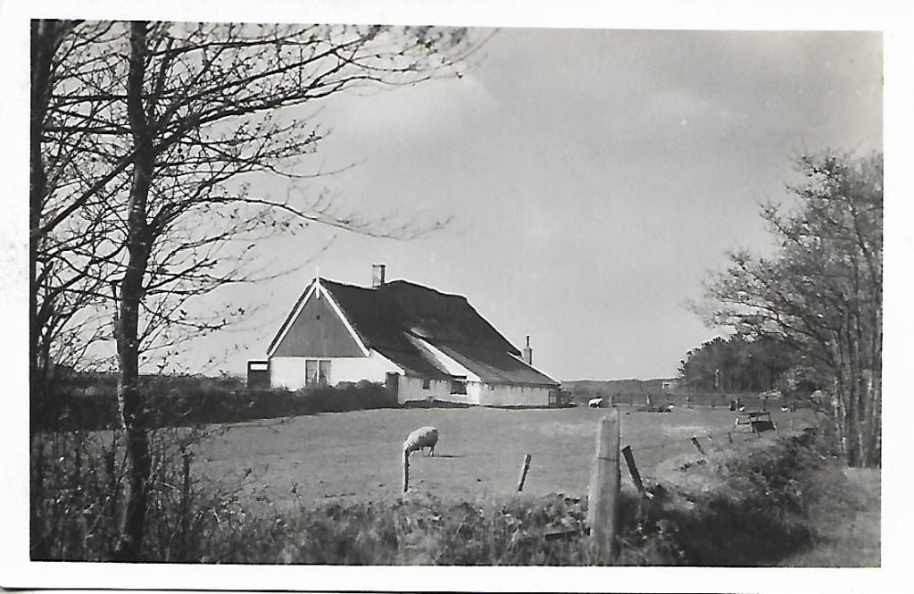 Texel- -Aan den dennenrand., Verzenden, 1960 tot 1980, Ongelopen, Waddeneilanden