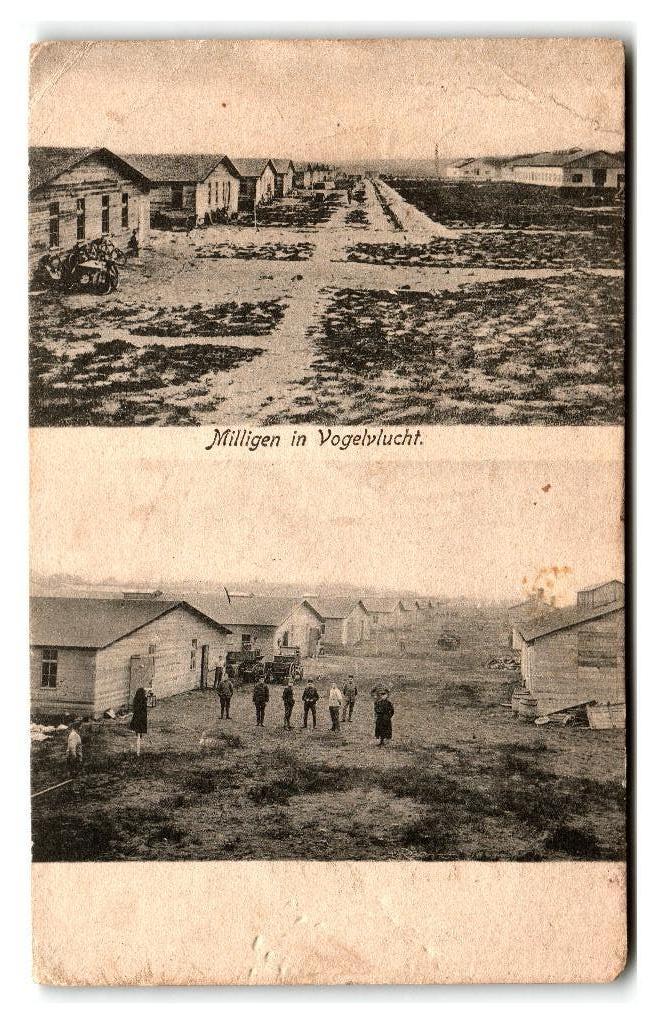 Milligen, in Vogelvlucht, Verzenden, Voor 1920, Gelopen, Gelderland