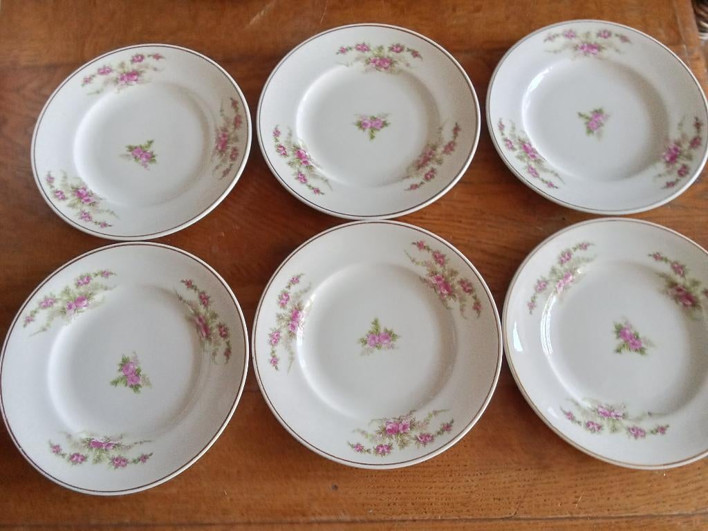 te koop 6 prachtige gebaksbordjes van petrus regout, Ophalen