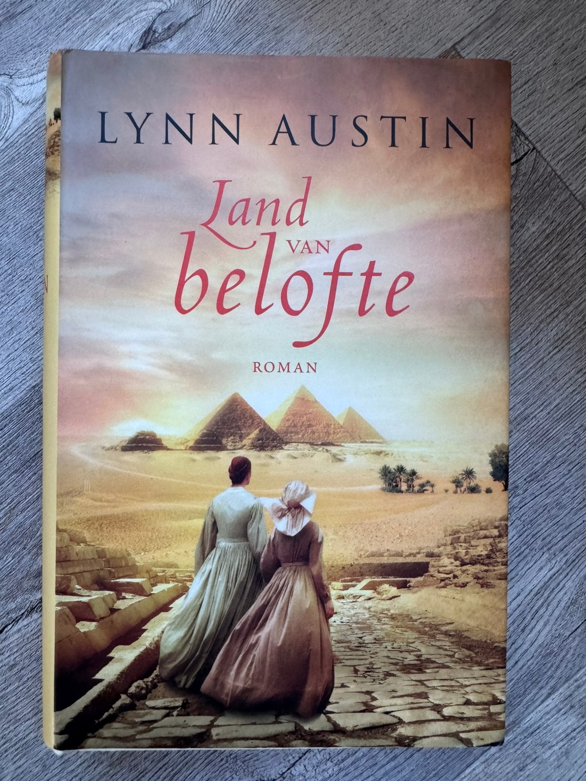 Land van belofte (Lynn Austin), Ophalen of Verzenden, Zo goed als nieuw