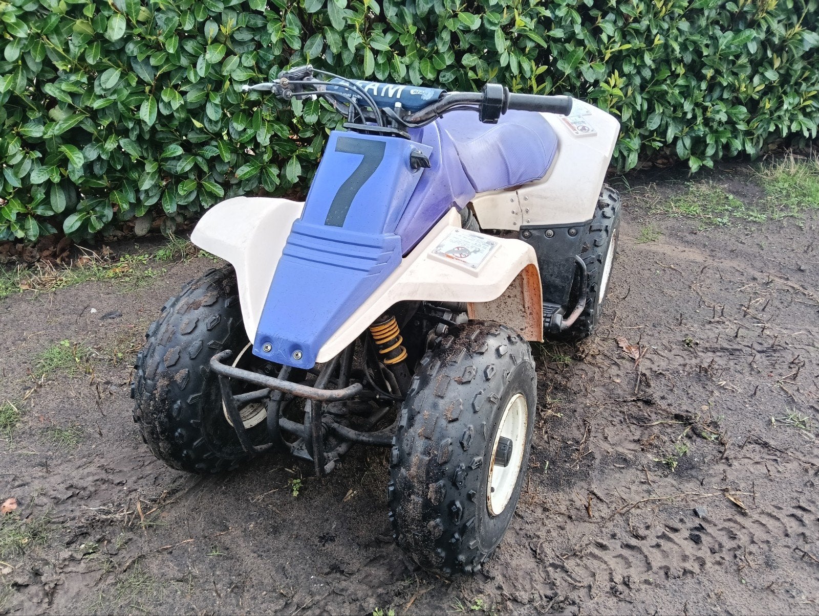 Suzuki LT 80 quad, Ophalen