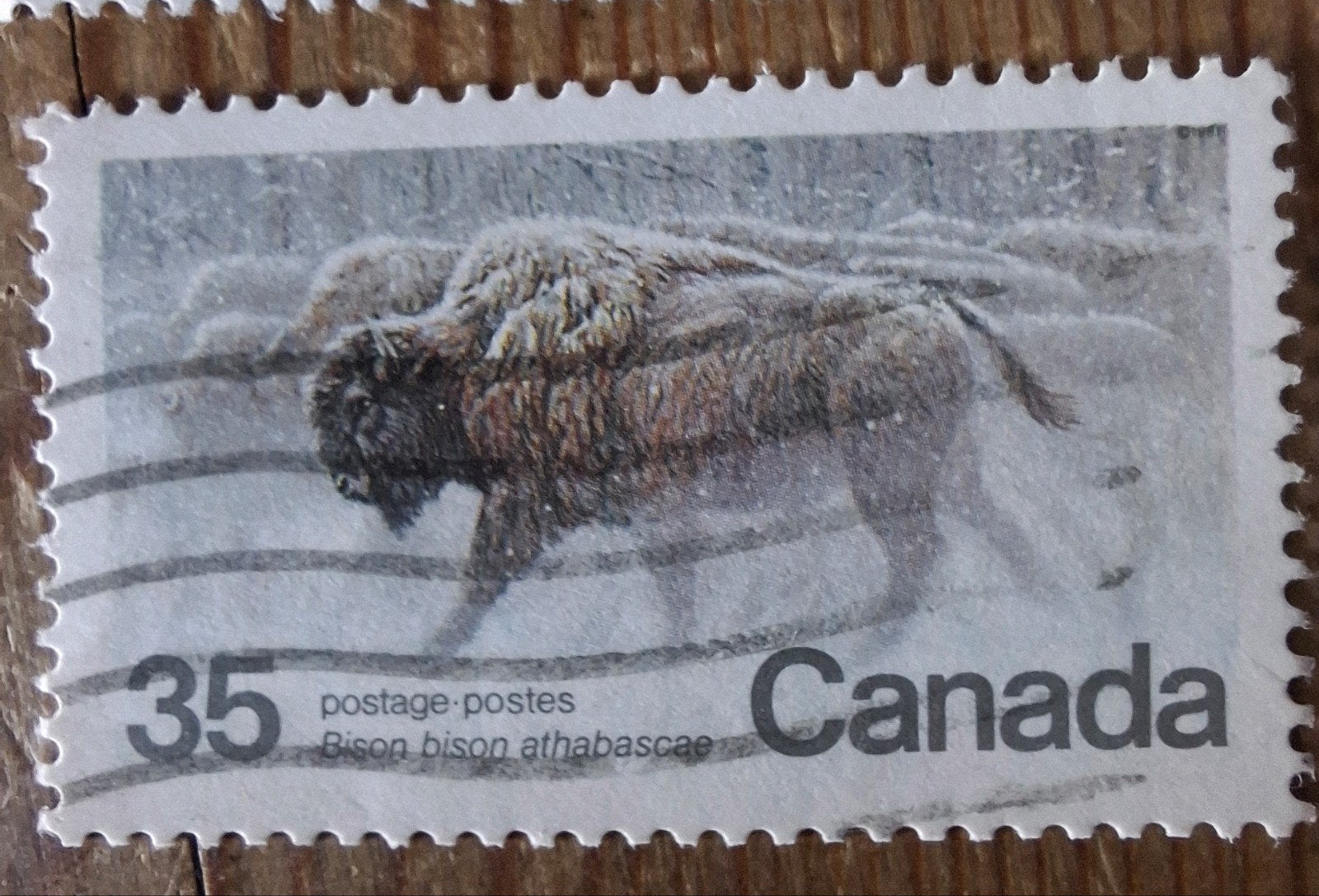 Canada 541 bison, Ophalen of Verzenden, Overige thema's