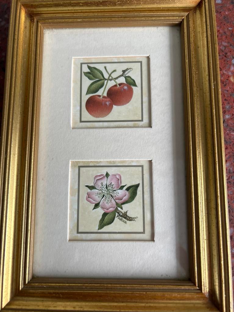 Ingelijste botanische prenten, Antiek en Kunst, Ophalen of Verzenden