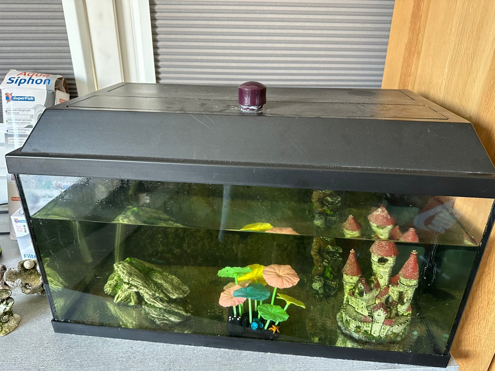 Aquarium met vissen, Dieren en Toebehoren, Vissen | Aquaria en Toebehoren, Ophalen of Verzenden, Gebruikt, Gevuld zoetwateraquarium