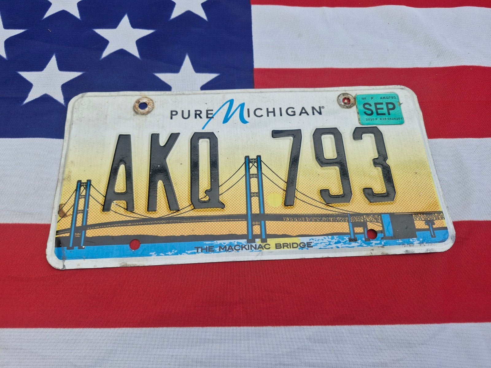 Kentekenplaat Michigan USA Nummerplaat nummerbord License VS, Verzenden, Gebruikt, Auto's