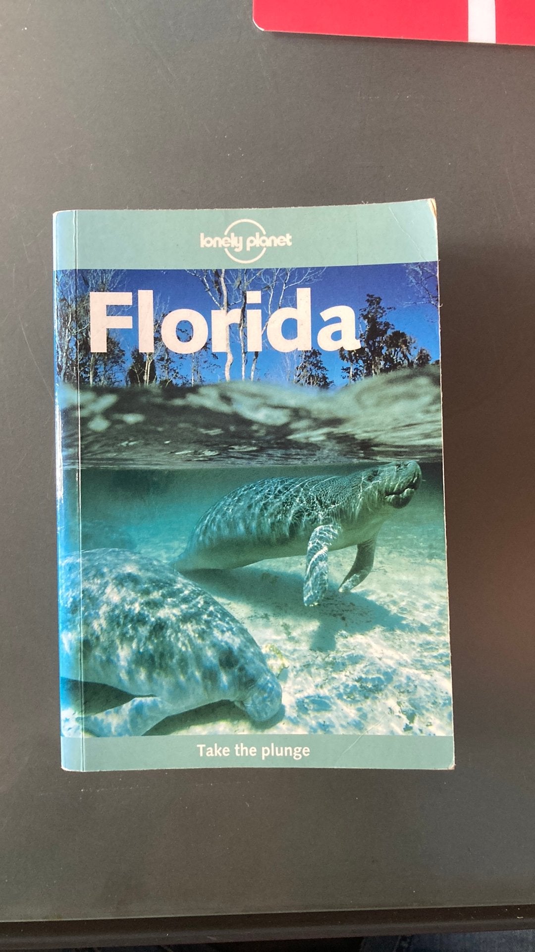 Lonely planet Florida en wegenkaart van Florida te koop, Boeken, Reisgidsen, Lonely Planet, Reisgids of -boek, Noord-Amerika, Ophalen