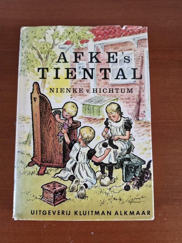 Afkes tiental --  Nienke van Hichtum, Ophalen, Gelezen, Nienke van Hichtum, Fictie