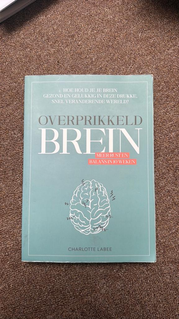Charlotte Labee - Overprikkeld brein, Ophalen of Verzenden, Zo goed als nieuw, Charlotte Labee