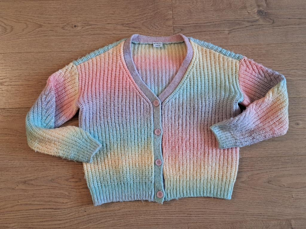 Leuk veelkleurig vest meisje of dame van maat 158 t/m maat S, Ophalen of Verzenden, Zo goed als nieuw, Page One Young, Roze