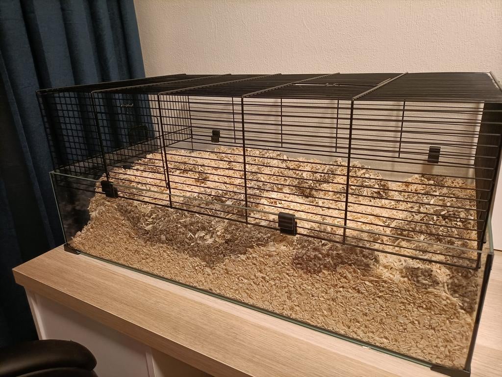 Hamsterhok groot, Dieren en Toebehoren, Hok, 75 tot 110 cm, Ophalen, Minder dan 60 cm