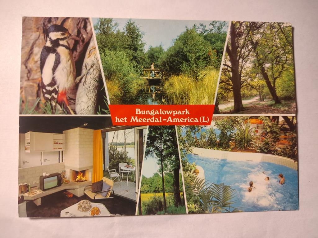 America Center Parcs, Verzamelen, Ophalen of Verzenden, 1940 tot 1960, Limburg