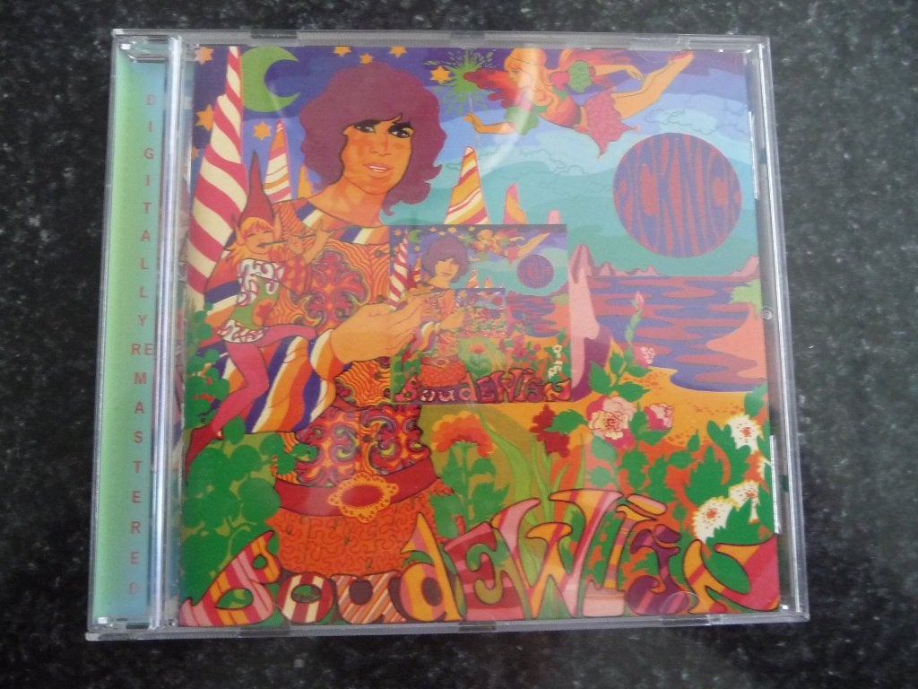 Boudewijn de Groot - Picknick CD (Pop, Rock), Inclusief doosje, Ophalen of Verzenden, Zo goed als nieuw, Pop