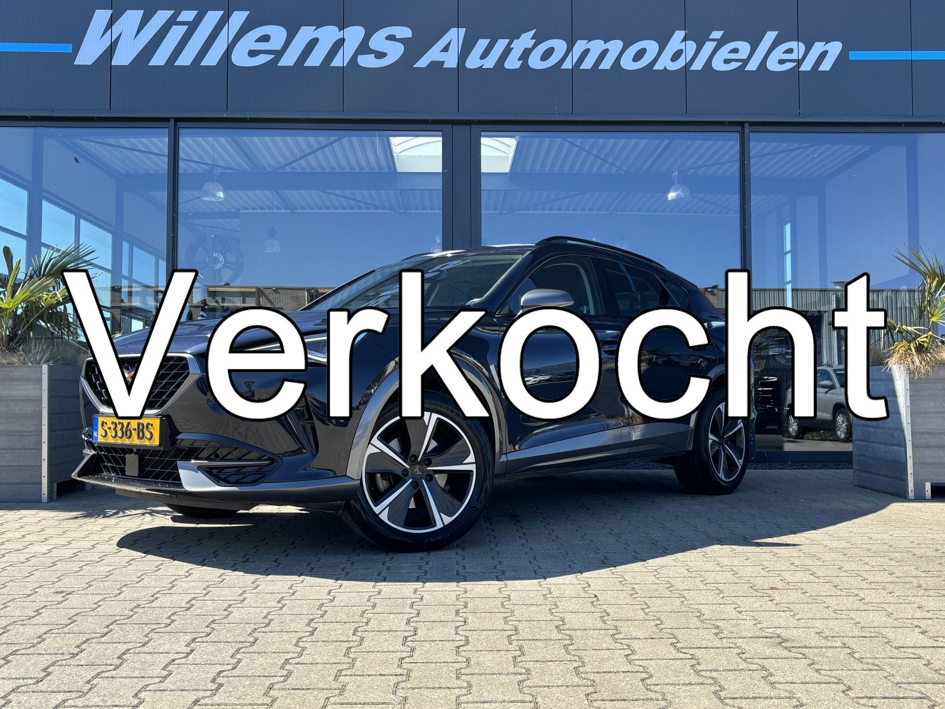 CUPRA Formentor 1.5 TSI Business Edition Camera, Winterpakke, Auto's, 15 km/l, Blauw, Leder en Stof, SUV of Terreinwagen