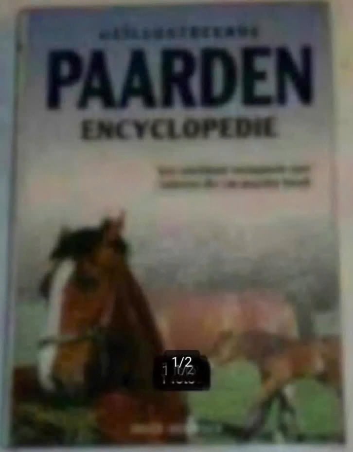 Geïllustreerde paardenencyclopedie  door Josee Hermsen, Boeken, Ophalen of Verzenden, Zo goed als nieuw, Paarden of Pony's