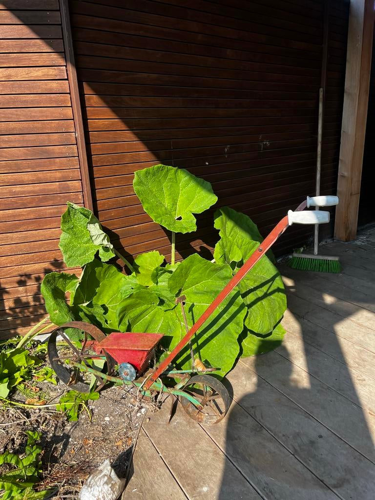Gratis! Vintage handcultivator / zaaimplantmachine, Tuin en Terras, Hand-tuingereedschap, Ophalen, Gebruikt, Cultivator