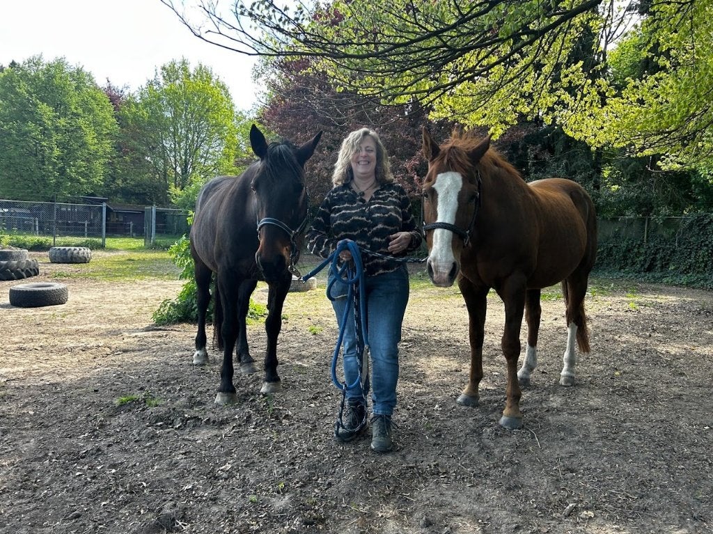 bijles taal, rekenen, klokkijken voor kinderen vanaf 8 jaar, Bijles