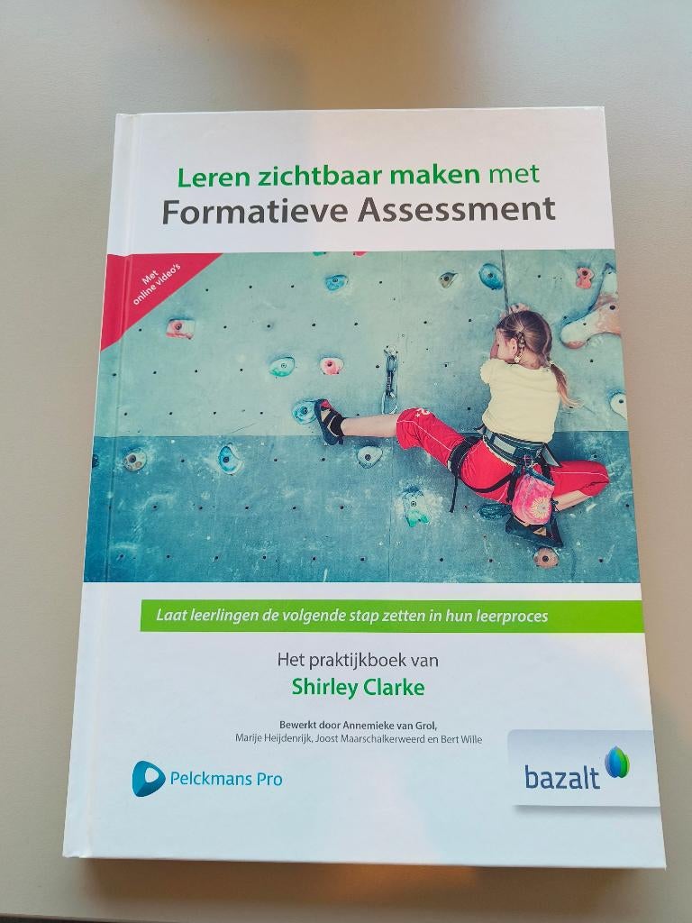 Leren zichtbaar maken, Boeken, Verzenden, HBO, Zo goed als nieuw, Bazalt