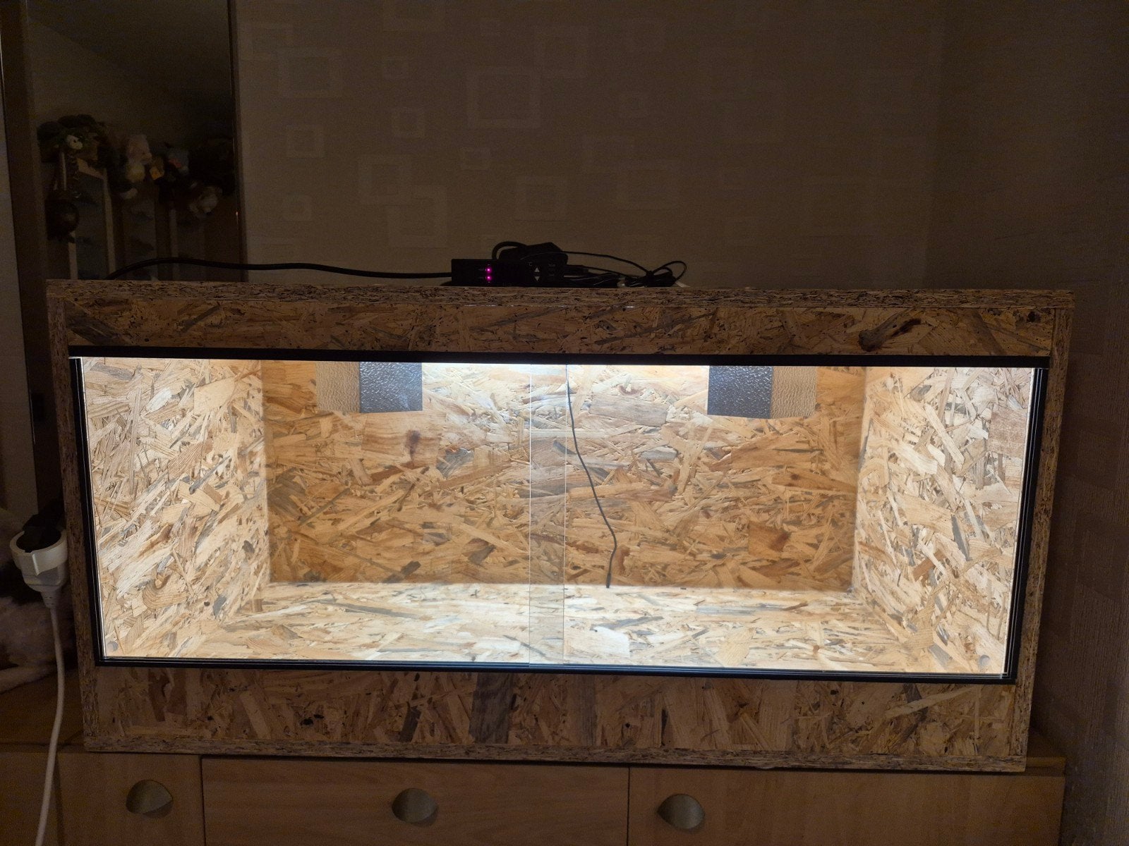 OSB3 Terrarium 100x50x50, Ophalen, Zo goed als nieuw, Terrarium of Paludarium