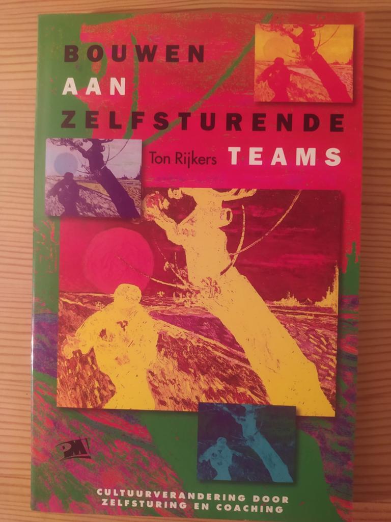 T. Rijkers - Bouwen Aan Zelfsturende Teams, Boeken, Ophalen of Verzenden, Zo goed als nieuw, T. Rijkers