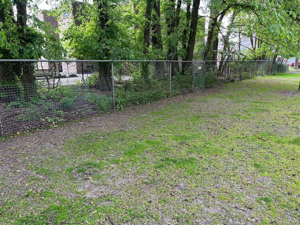 60m Gaas hekwerk incl. draaihek (gaas icm prikkeldraad), Tuin en Terras, Ophalen, Gebruikt, 20 meter of meer, Gaas