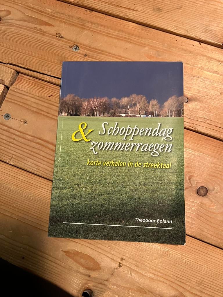 Schoppendag en zommerraegen, Ophalen of Verzenden, Gelezen, Gelderland