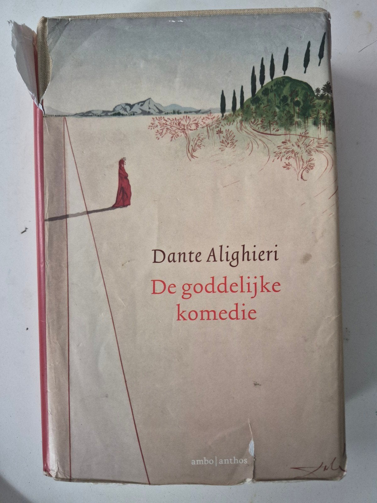 Dante Alighieri - De goddelijke komedie (Ambo | Anthos), Ophalen of Verzenden, Gelezen, Dante Alighieri, Europa overig