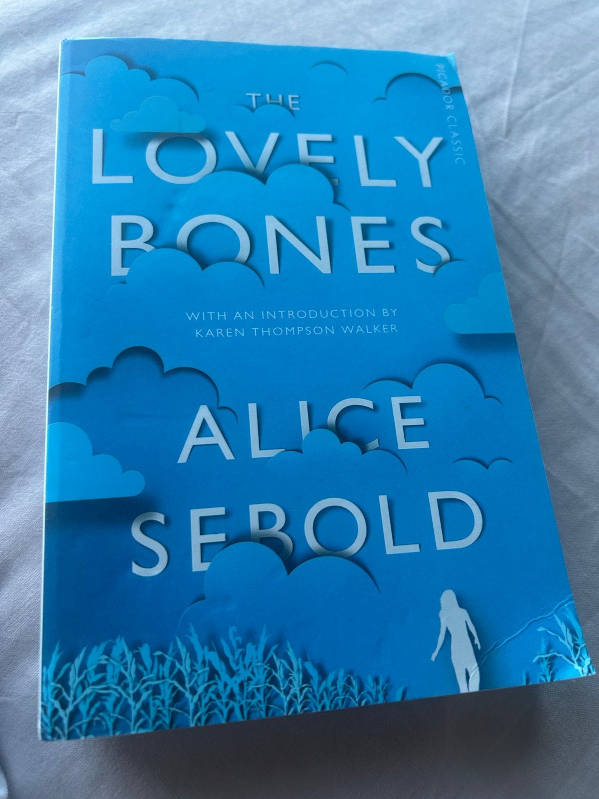 The Lovely Bones - Alice Sebold (Engels), Ophalen of Verzenden, Zo goed als nieuw, Wereld overig