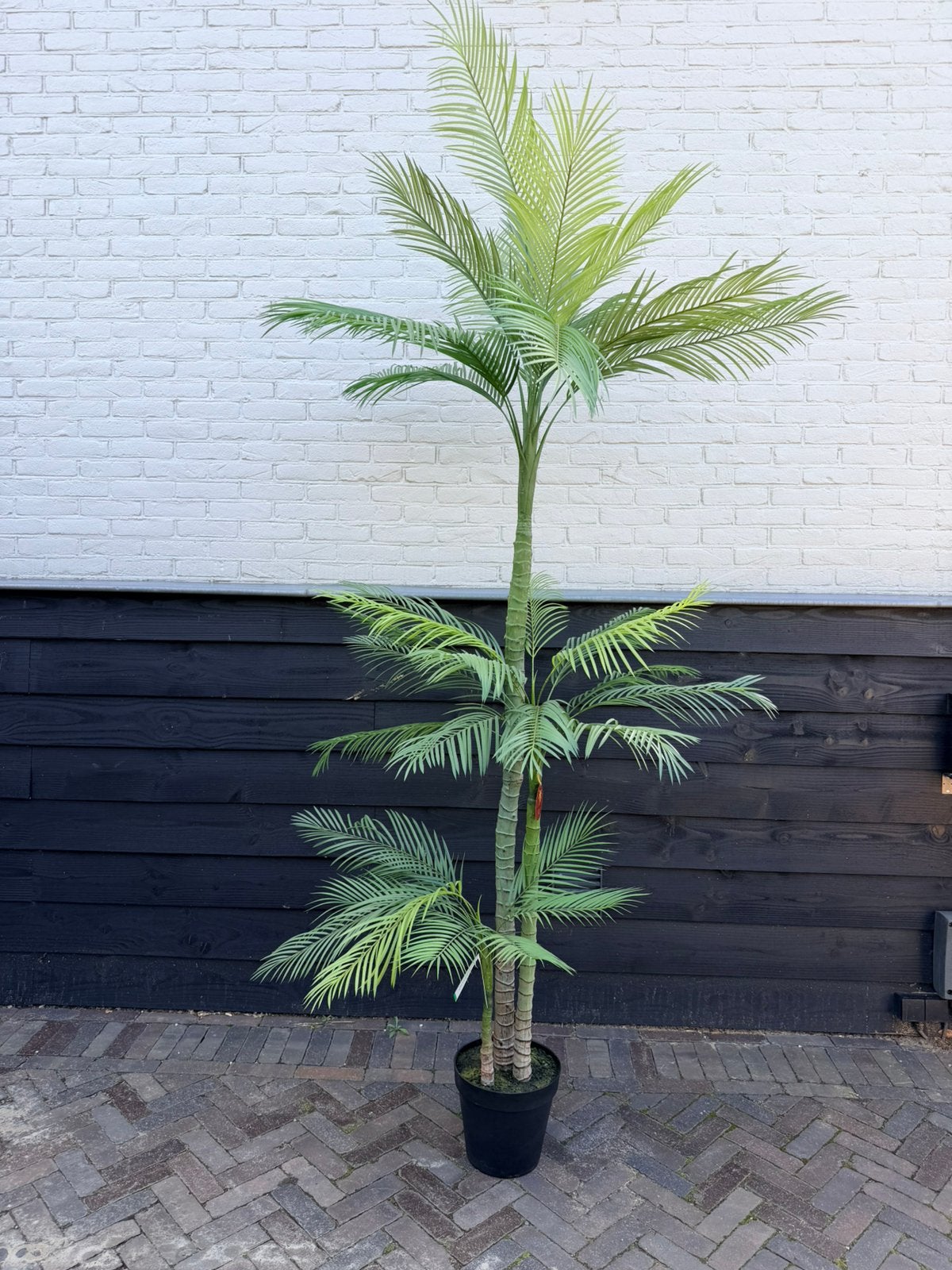 Phoenix kunstpalm 245 cm, Ophalen of Verzenden, Nieuw