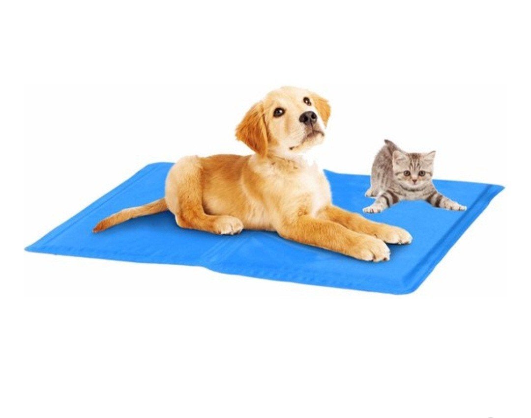 Koelmat voor honden of katten, Dieren en Toebehoren, Honden-accessoires, Ophalen, Nieuw