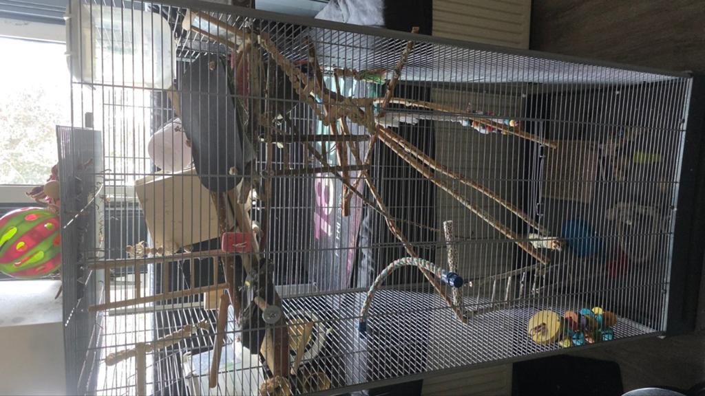 Voilere vogelkooi argaponis kooi 65x 54x150 60euro, Dieren en Toebehoren, Vogels | Hokken en Kooien, Ophalen, Metaal, Vogelkooi