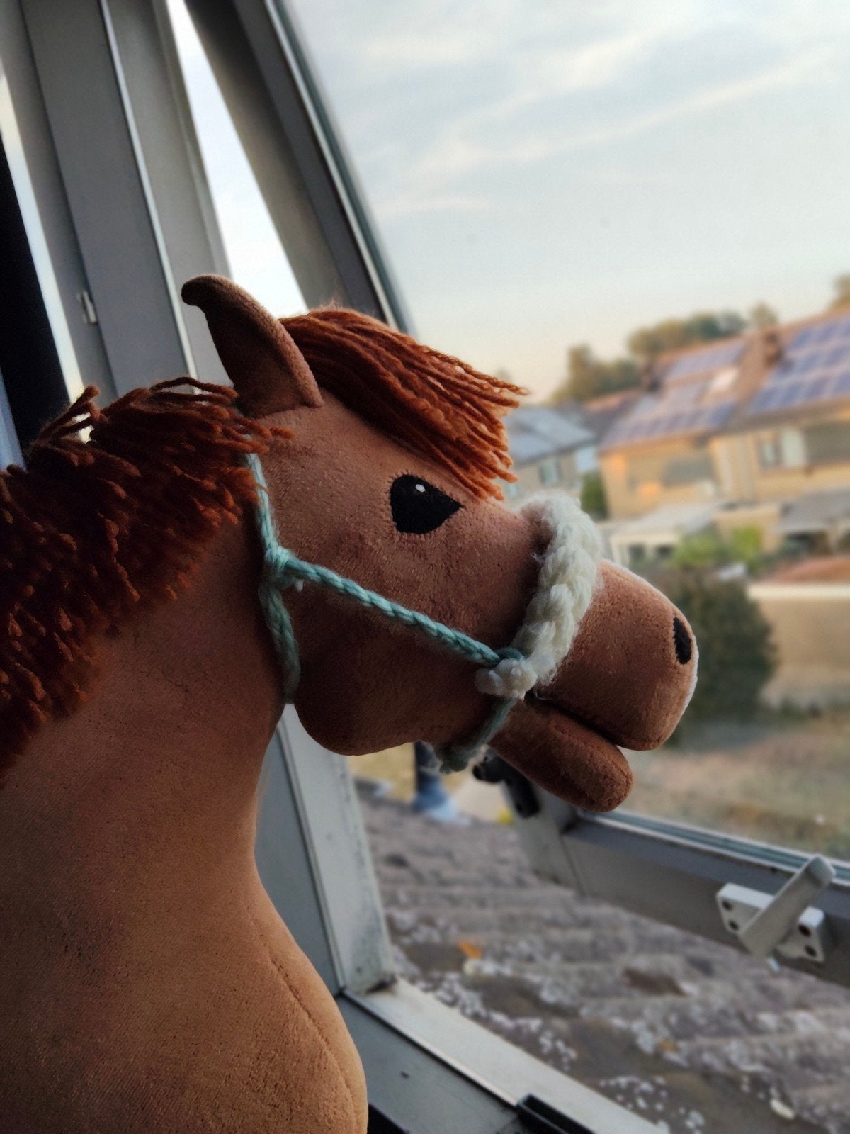 Hobby Horse Halsters - Ontwerp je eigen unieke halster!, Hobby en Vrije tijd, Ophalen of Verzenden, Nieuw