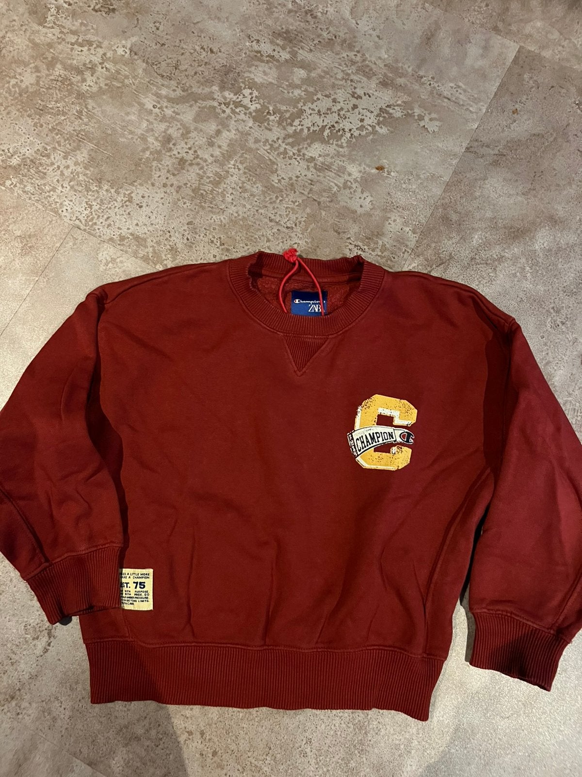 Zara x Champion sweater maat 122 zgan, Ophalen of Verzenden, Zo goed als nieuw, Jongen, Trui of Vest
