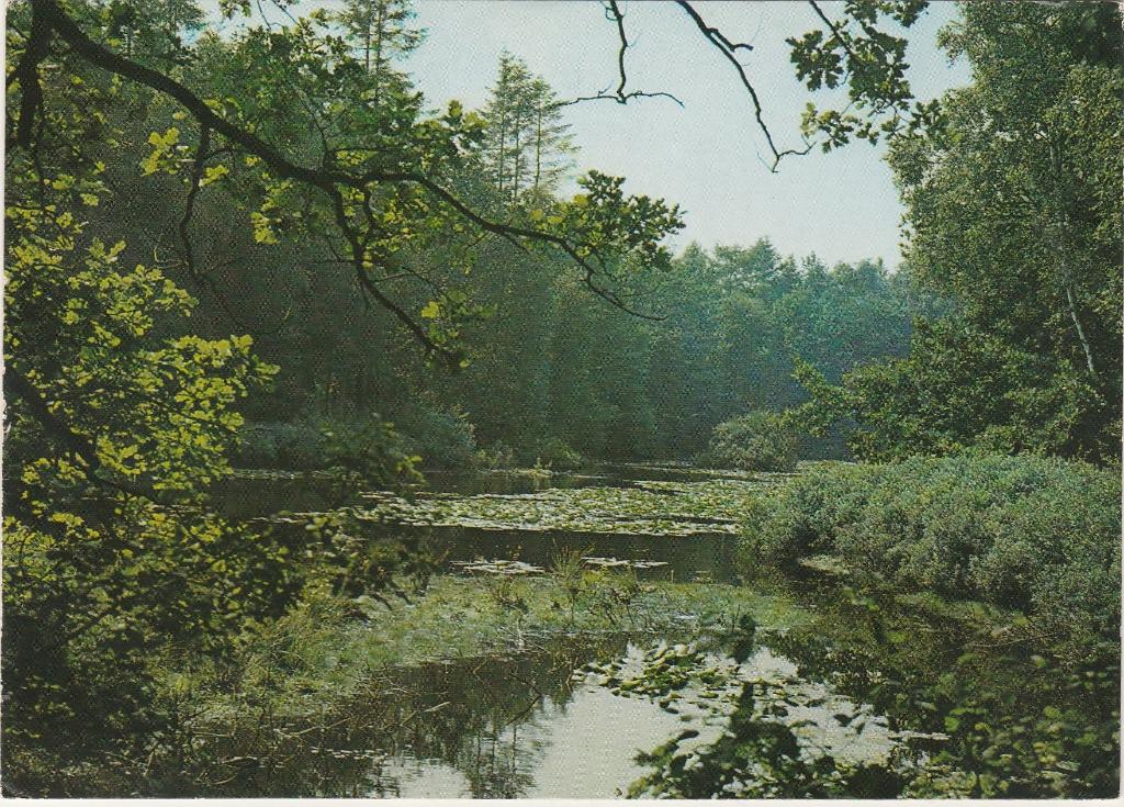 OISTERWIJK Choorven, Verzenden, 1960 tot 1980, Gelopen, Noord-Brabant