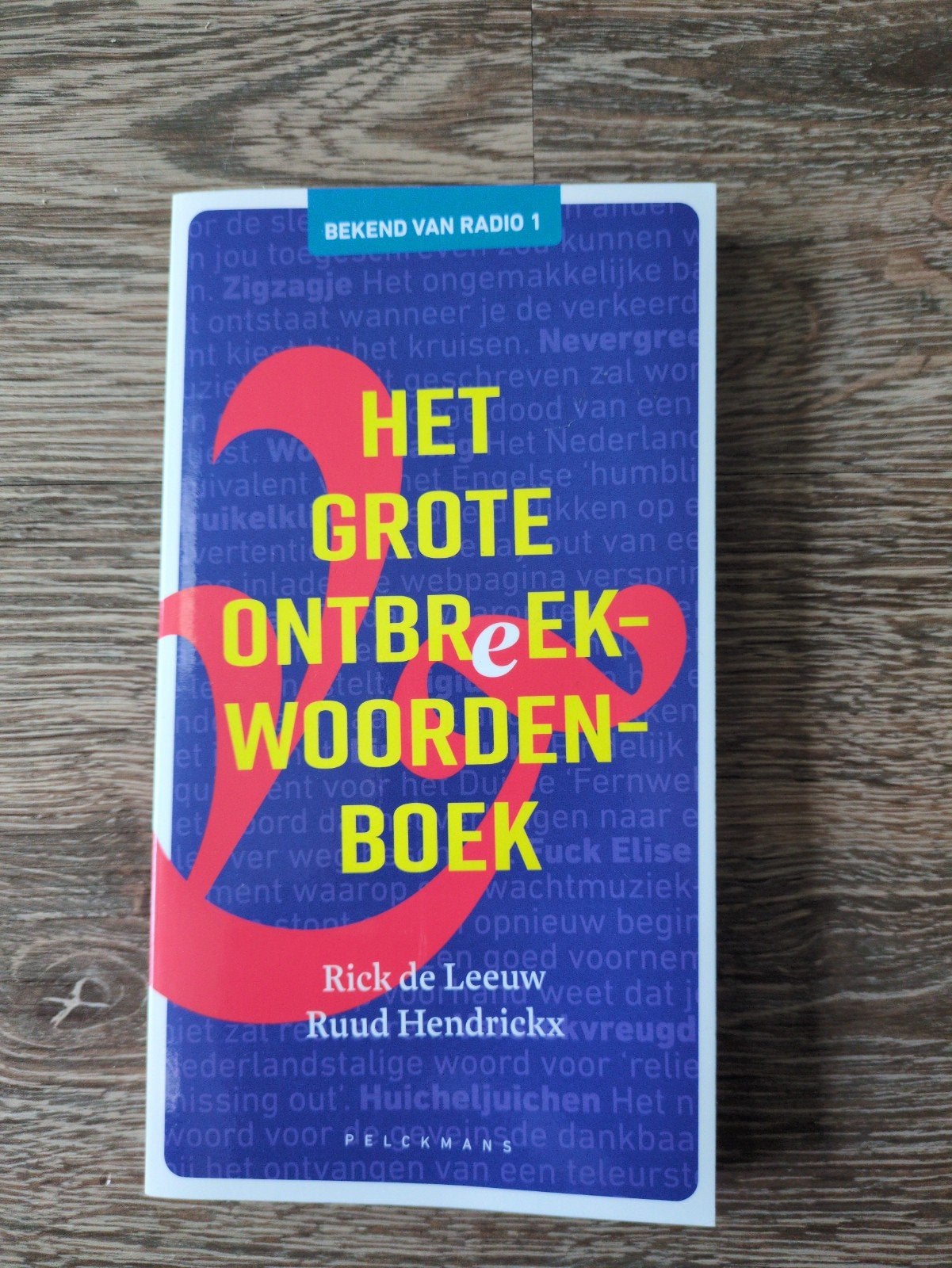 Het Grote Ontbreekwoordenboek - Rick de Leeuw, Ophalen of Verzenden, Nieuw, Rick de Leeuw, Nederlands