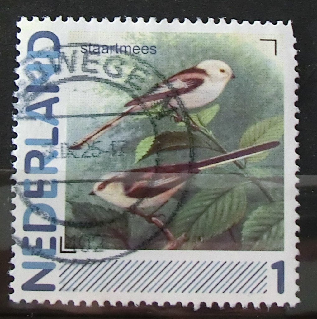 persoonlijke postzegel, Vogels, gest (lees aub), Ophalen of Verzenden, Na 1940, Gestempeld