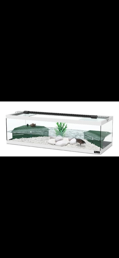 Gezocht: Aquarium terrarium hok flat, Ophalen of Verzenden, Zo goed als nieuw, Leeg aquarium