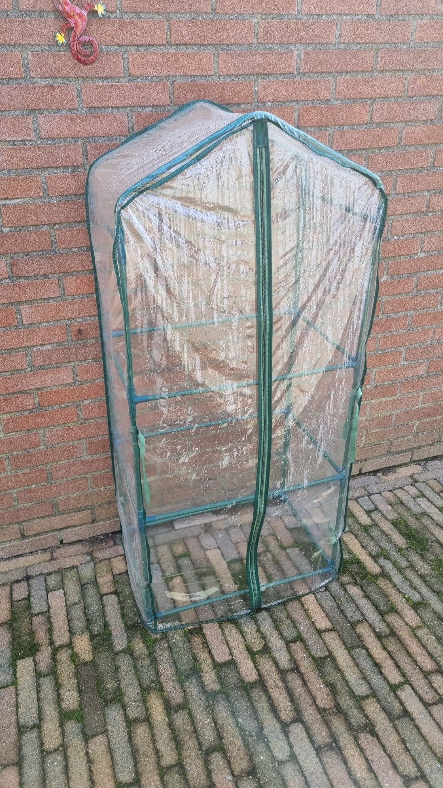 Kweekkasje foliekas voor hogere planten, Ophalen, Gebruikt, Folie, Kweekkas