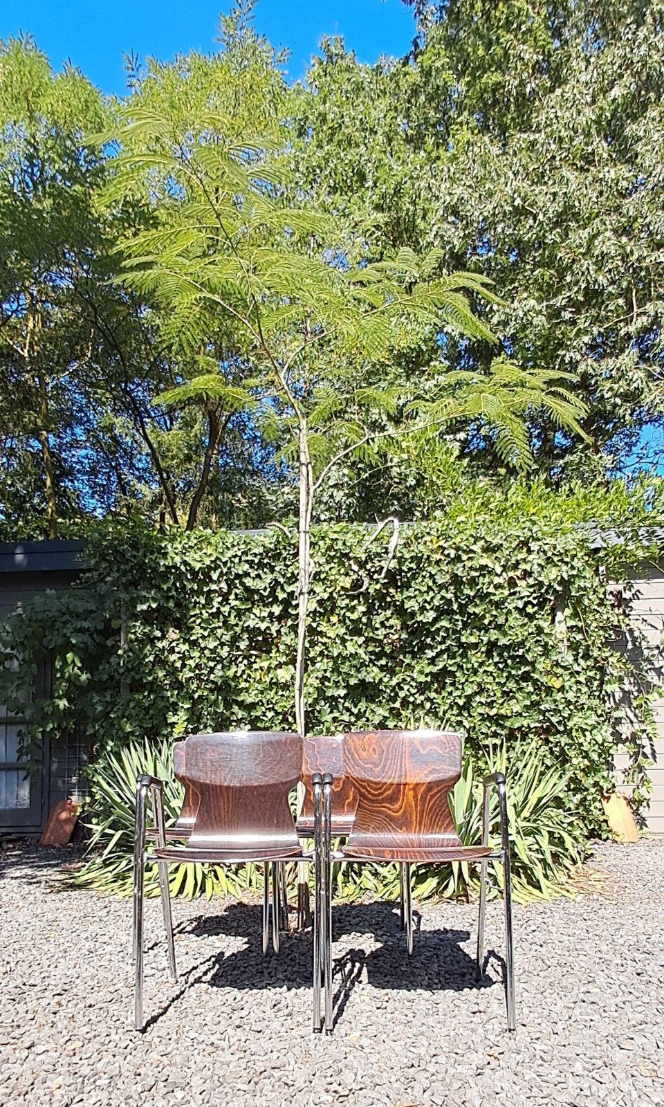Vintage Eromes Pagholz stoelen met armleuningen, Ophalen