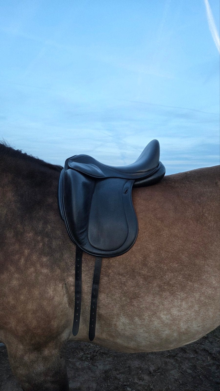 mooi Santa Cruz zadel met verwisselbare boom inclusief set, Dieren en Toebehoren, Ophalen, Dressuur, Overige merken, Diepe zit