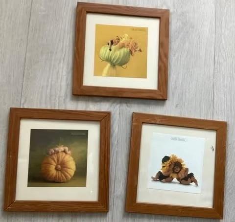 3 schilderij van Anne Geddes, Ophalen of Verzenden, Zo goed als nieuw, Minder dan 50 cm, Schilderij