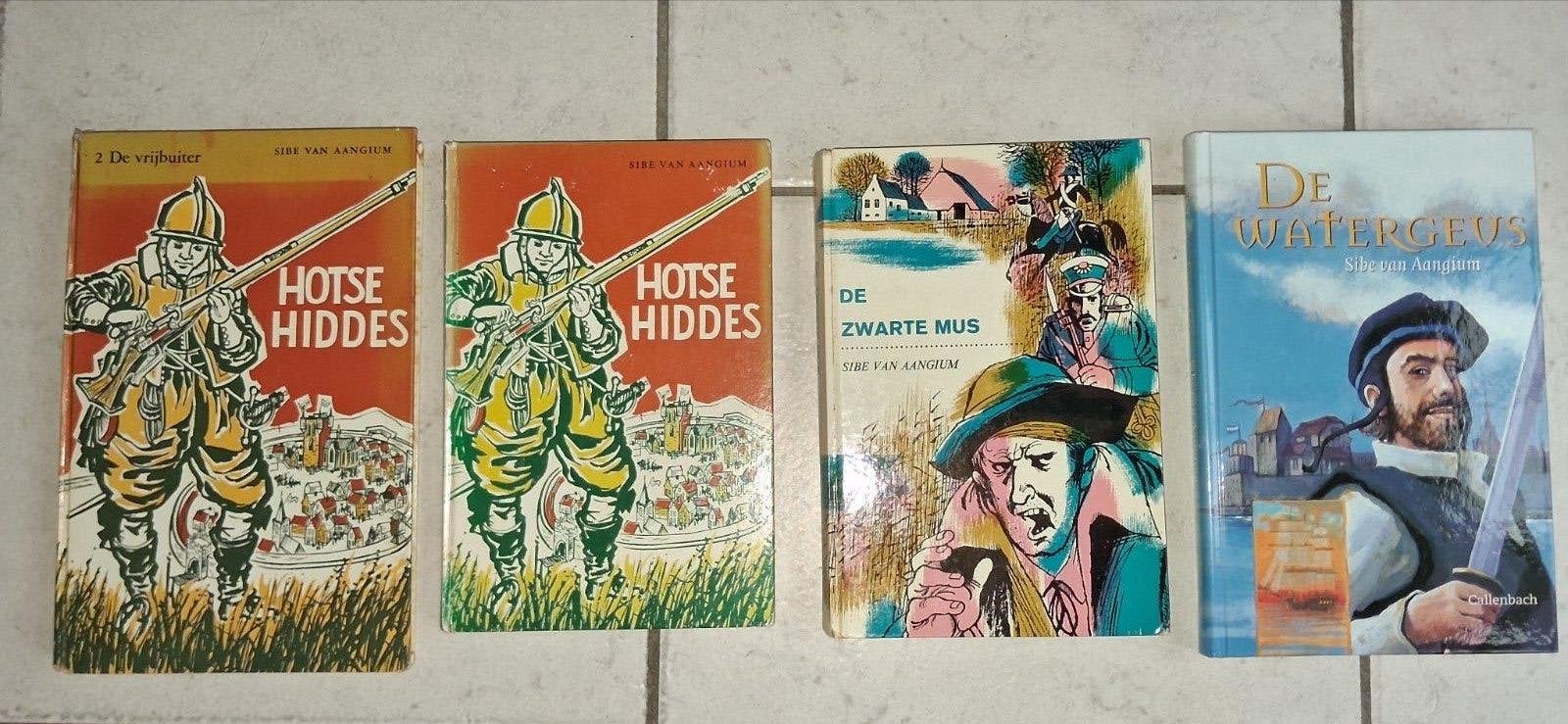 4 x Sibe v Aangium boeken: samen 10,-, Ophalen of Verzenden, Gelezen, Sibe van Aangium, Nederland