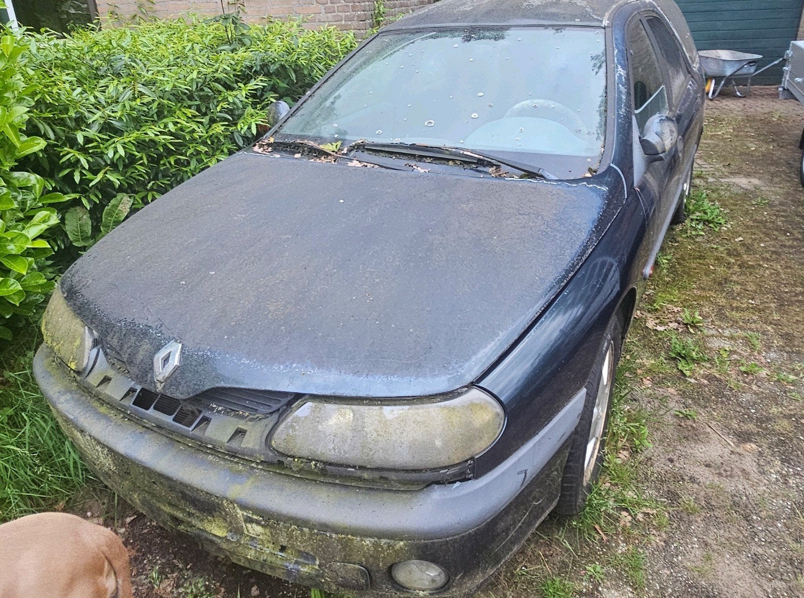 Renault Laguna, Ophalen